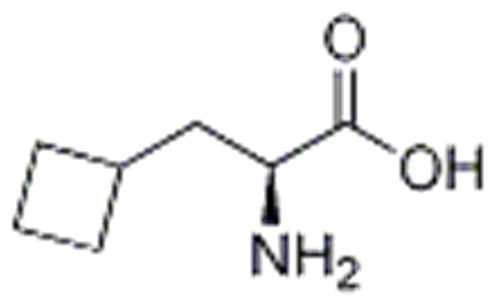 (S)-2-aMino-3-cyclobutylpropanoic acid CAS 1201593-65-8