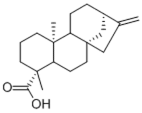 kaurenoic acid CAS 6730-83-2