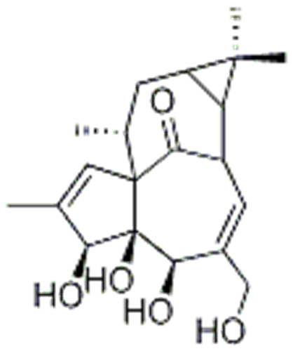 INGENOL CAS 30220-46-3