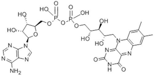 RIBOFLAVIN-ADENINE DINUCLEOTIDE CAS 146-14-5