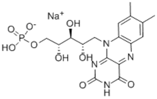 Riboflavin-5-phosphate sodium CAS 130-40-5