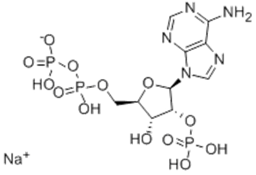 2'-MONOPHOSPHOADENOSINE 5'-*DIPHOSPHORIBOSE SODIUM CAS 53595-18-9