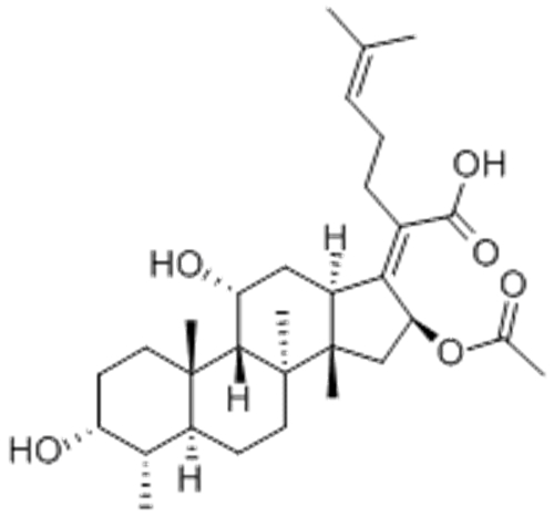 Fusidine CAS 6990-06-3