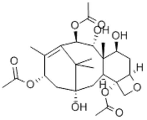 13-Acetyl-9-dihydrobaccatin III CAS 142203-65-4