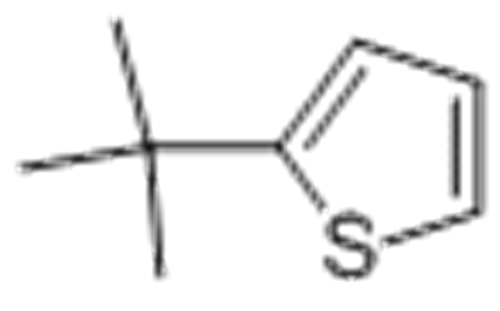 Thiophene,2-(1,1-dimethylethyl) CAS 1689-78-7