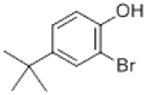 Phenol,2-bromo-4-(1,1-dimethylethyl) CAS 2198-66-5