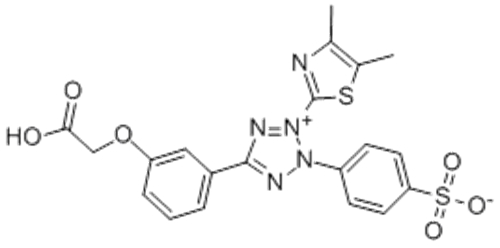 Methyl cellulose CAS 138169-43-4